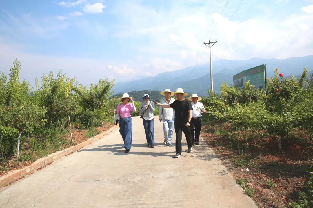 身入一線調研 心入一線關懷